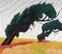 Wind & Trees, 2008