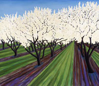 Almond Blossoms, 2007